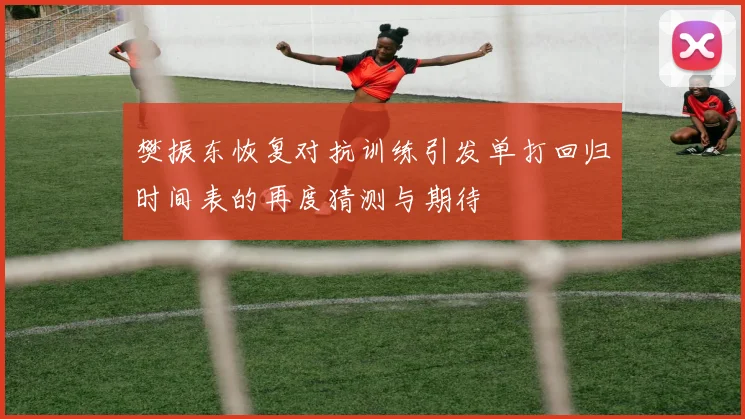樊振东恢复对抗训练引发单打回归时间表的再度猜测与期待
